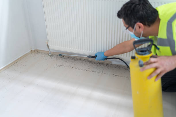Best Wasp Removal Services  in Warsaw, KY
